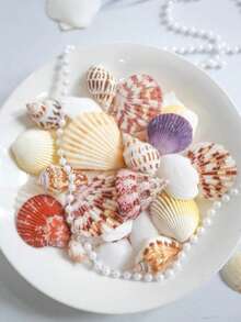 150g Natural Mixed Seashell Filler, White Tropical Seashells, DIY Craft Seashells, Beach Wedding Decor, Coastal Boho Decor, Seashell Decor