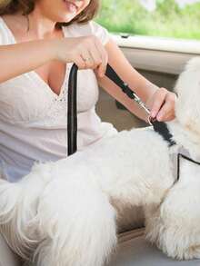 Retractable Dog Car Safety Leash, Pet Cat Dog Car Travel Harness Leash, Pet Car Seat Belt, Retractable Dog Safety Leash, Pet Leash, Cute Floral Pet Car Safety Belt, Nylon Adjustable Car Seat Harness Leash - Multicolor - View 4