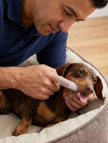 Multi-Piece Set Clear Silicone Pet Toothbrush Cat & Dog Finger Toothbrush Kit – Soft Silicone Pet Dental Brush, Ideal For Cat Teeth Cleaning & Puppy Oral Care - Clear - View 2