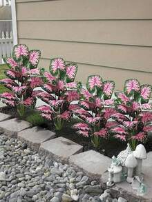 24 cây cọ tre nhân tạo màu hồng cỡ lớn, cây cọ giả trang trí cỡ lớn, cây lá hồng trồng trong chậu, cây thường xanh cao lớn trông như thật, cây lá Monstera bằng nhựa giống như thật để trang trí nhà cửa, văn phòng, sân vườn, khách sạn, trong nhà và ngoài trời (không bao gồm chậu). - Nhiều màu - Xem 3