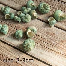 50克（1.76盎司）或150克（5.29盎司）美丽的蓝绿色贝壳，2-4厘米稀有贝壳，带有彩色条纹的收藏级贝壳，适合海洋主题水族箱装饰、微型景观装饰、工艺品、DIY项目等等！ - A - 查看 1