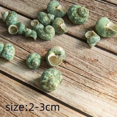 50g(1.76oz) Or 150g(5.29oz) Beautiful Teal Seashells, 2-4cm Rare Shells, Collectible Seashells With Colorful Stripes, Suitable For Marine Themed Aquarium Decor, Miniature Landscape Decoration, Crafts, DIY Projects And More!