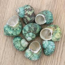 50克（1.76盎司）或150克（5.29盎司）美丽的蓝绿色贝壳，2-4厘米稀有贝壳，带有彩色条纹的收藏级贝壳，适合海洋主题水族箱装饰、微型景观装饰、工艺品、DIY项目等等！ - A - 查看 7