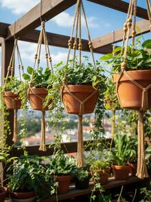 1个室内植物吊篮 - 手工编织室内植物吊篮