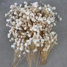 50/100支仿真迷你白色满天星 - 精致耐用，易于DIY，适用于婚礼、家居和办公室装饰、派对和花园 - 可制作桌面波西米亚风花环，无羽毛，无需用电，适合圣诞节、感恩节和万圣节 - 白色 - 查看 14