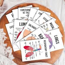 30pcs Human Anatomy System Study Cards - Medical Illustration Learning Guide Cards, Suitable For Medical Students, Doctors, Nurses - Medical Education Tool, With Detailed Labeled Anatomical Diagrams - Multicolor - View 7