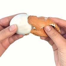 1pc Manual Egg Peeler, Convenient And Efficient Shelling Tool - Multicolor - View 6