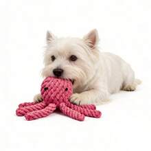 Colorful Handmade Woven Dog Rope Toys, Funny Animal Strawberry Pineapple Rope Toys, Cartoon Carrot Rope, Rabbit/Lion/Octopus/Elephant/Bear Plush Toys, Suitable For Training, Teeth Cleaning And Interactive Play For Medium And Small Dogs, Pet Supplies - Multicolor - View 10