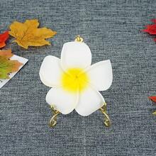 Transparent Plastic Hanging Plate Rack, Gold Electroplated Iron Art Plate Display Stand For Plates, Trophies, Clocks, Photo Albums, Painting Plates - Clear - View 10