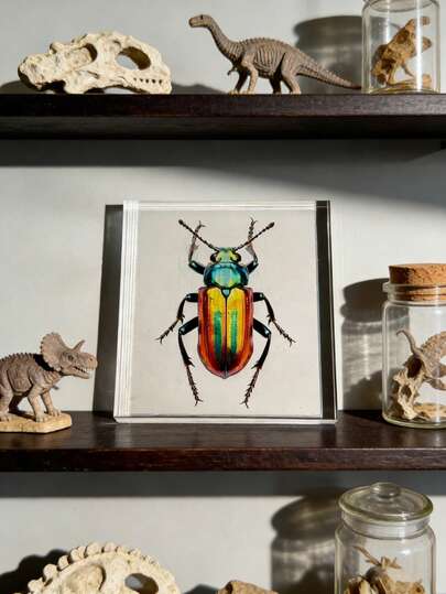 1pc Extra Large (10CM) Transparent Beetle Series Model Toy, Insect Specimen, Permanent Preservation Animal Model Craft, Most Realistic Nature Insect Beetle Specimen Print, Amber Transparent Plant & Insect Model Square, Decorative Craft Ornament (Acrylic Double-Sided), Perfect Gift For Kids, Family And Friends For Easter, Festival, Valentine's Day And Other Holidays