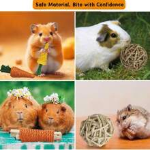 8/15pcs Hamster Chew Stick Set, Small Animal Chew Toys, Rodent Pet Toys, Enrichment Pet Toy Assortment Suitable For Gerbils, Mice, Rabbits And Hamsters - Multicolor - View 5
