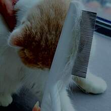 Premium Cat Hair Comb: Stainless Steel Detangling And Massaging Tool With Dense Teeth For Effective Shedding Control And Grooming. - White - View 2