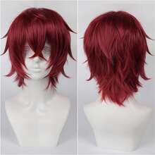 Karida 14-Inch Synthetic Fiber Cosplay Wig With Bangs, Layered Straight Hair, Unisex Cosplay Wig, High Density, Natural-Looking Cosplay Wig For Men And Women