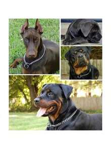 Durable Stainless Steel Anti-Bite Metal Dog Collar, Suitable For Small, Medium And Large Dogs, Training Obedience Pet Collar, Includes Pitbull And Bulldog - Multicolor - View 10