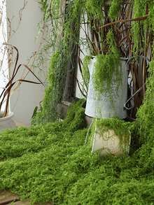 300 جرام / 100 جرام / 50 جرام من الطحالب الاصطناعية الواقعية - بلاستيك متين للديكور الداخلي والخارجي، مناسب لحاويات الزجاج والأصص والتنسيق الطبيعي، طحالب خضراء طبيعية بملمس واقعي، سهلة التركيب والصيانة، رائعة لديكور المنزل والحديقة، زراعة الطحالب، البستنة الداخلية، ديكور أصيص النبات المكتبي، مظهر طبيعي، سهل التركيب - مشاهدة 6