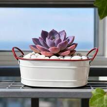 白色和红色椭圆形铁艺花盆，配有双提手和条纹装饰。椭圆形盆身搭配条纹纹理，双提手设计方便移动，整体风格简约而不失复古趣味。适合种植多肉植物、小型盆栽，兼具美观与实用性。 - 白色 - 查看 7