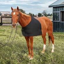 1pc Black Horse Riding Vest, High Elasticity Anti-Friction Horse Riding Gear, Horse Fly Repellent Elastic Vest