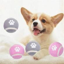 1 Peça Brinquedo Elástico com Estampa de Pata de Cachorro, Para Treinamento e Brinquedo Interativo de Estimação - Multicolorido - Visão 2