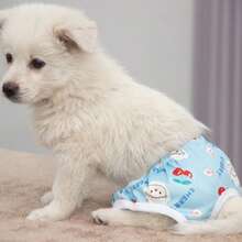 7pcs Washable Dog Menstrual Physiological Shorts With Cute Pet Prints - Multicolor - View 6