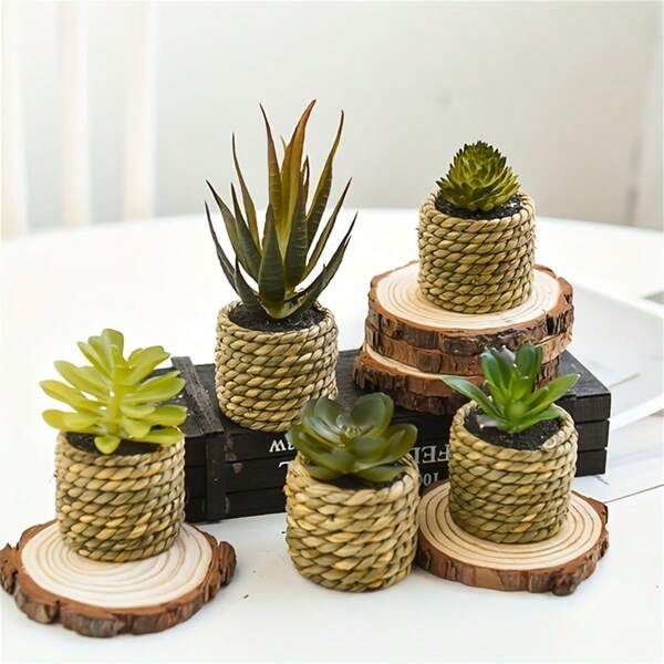 1 Set Ins Style Simulated Prickly Grass Woven Potted Mini Green Plant Desktop Decor, Realistic Artificial Potted Plant