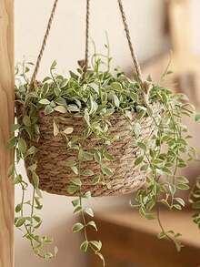 1pc Handmade Woven Dandelion Grass Basket, Rustic Style Hanging Planter For Greenery - Hanging Basket - View 10