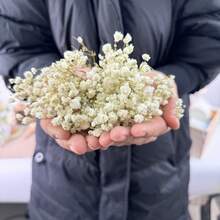 50/100支仿真迷你白色满天星 - 精致耐用，易于DIY，适用于婚礼、家居和办公室装饰、派对和花园 - 可制作桌面波西米亚风花环，无羽毛，无需用电，适合圣诞节、感恩节和万圣节 - 白色 - 查看 6