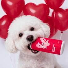 Pink Plush Squeaky Dog Doll, Pet Valentine's Day Gift, Built-In Squeaker To Attract Cats & Small Dogs, Soda Can Shaped Pet Plush Doll, Bone Plush Squeaky Doll, Suitable For Medium/Small Dogs & Puppies, Chew, Toss & Squeak Interactive Doll - Multicolor - View 4