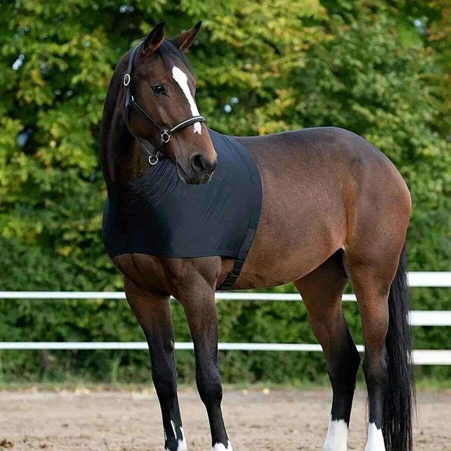 1pc Black Horse Riding Vest, High Elasticity Anti-Friction Horse Riding Gear, Horse Fly Repellent Elastic Vest