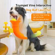二合一智能互动宠物玩具：自动抛球器和益智猫咪逗猫棒 - 室内狗狗网球训练玩具，礼品，庆典礼物 - 彩色 - 查看 8