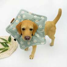 Elizabeth Soft Cone Neck Collar, Pet Cat Dog Protective Collar, Pet Collar, Pet Supplies - Multicolor - View 4