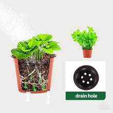 50/100个 3.5英寸植物育苗育苗盆，用于园艺、扦插和移植花卉植物的育苗盘 - 彩色 - 查看 3