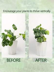 12/6/2/1件装金属龟壳叶形植物支架 - 耐用强力夹，龟壳竹子支撑系统，植物茎秆固定器，促进植物健康生长，装饰性花园支撑结构，攀援植物棚架，金属稳定器，植物生长支撑，植物支撑结构，攀援植物棚架 - 金色 - 查看 4