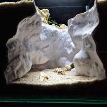 3D Printed Aquarium Landscape Decor - Natural Cliff Cave Terrain For Small Fish, Shrimp, Lizards, No Assembly Required Basking Platform And Hiding Spot, Aquarium Ornament To Create A Better Ecosystem For Fish And Reptiles