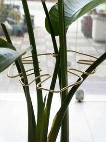 12/6/2/1件装金属龟壳叶形植物支架 - 耐用强力夹，龟壳竹子支撑系统，植物茎秆固定器，促进植物健康生长，装饰性花园支撑结构，攀援植物棚架，金属稳定器，植物生长支撑，植物支撑结构，攀援植物棚架 - 金色 - 查看 2