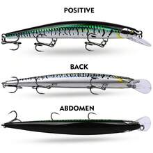 PRO BEROS PROBEROS 1PC 米诺饵，16.8厘米/24.8克，海水钓鱼路亚，颤泳饵，冲浪钓鱼配件和装备，水面路亚，大比目鱼和鲈鱼钓鱼路亚 - 彩色 - 查看 7