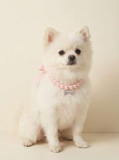 PETSIN Pearl Necklace With Rhinestone Bone Decor For Dogs & Cats, Fashionable Cat Wedding Collar Jewelry Suitable For Girls, Cats, Small Dogs