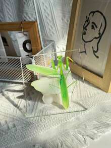 1 Mô hình bọ ngựa cỡ lớn (10CM) trong suốt, mẫu vật côn trùng bọ ngựa, mô hình động vật được bảo quản vĩnh viễn, đồ thủ công mỹ nghệ, in hình mẫu vật bọ ngựa chân thực nhất trong tự nhiên, mô hình côn trùng động thực vật hình vuông trong suốt màu hổ phách, đồ trang trí thủ công mỹ nghệ (Acrylic hai mặt) - bọ ngựa - Xem 11