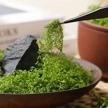 1pc Artificial Moss DIY Indoor/Outdoor Decor Simulated Moss Lawn Faux Moss Micro Landscape Layout Natural Green Moss With Realistic Texture Suitable For Glass Containers, Pots Green Moss Crafts Perfect For Garden, Balcony, Lawn Home Decor - Multicolor - View 12