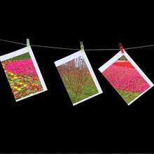 20 de cleme acrilice transparente, mini cleme pentru decor de perete foto, clemă transparentă din plastic cu arc, fundal de petrecere, agrafe foto, Ziua Îndrăgostiților, decorațiuni pentru petreceri de sărbători, agrafe de rufe DIY pentru decorarea casei de perete foto - Multicolor - Vizualizare 6