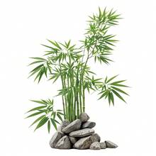 1pc Green Bamboo And Rock Garden Wall Sticker, Perfect For Adding A And Peaceful Atmosphere To Home, Bedroom, Living Room And Spaces. Self-Adhesive Wallpaper Brings Vibrant Spring Vibe To Your Home - Multicolor - View 6