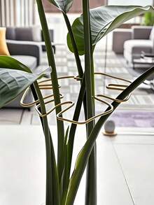 12/6/2/1件装金属龟壳叶形植物支架 - 耐用强力夹，龟壳竹子支撑系统，植物茎秆固定器，促进植物健康生长，装饰性花园支撑结构，攀援植物棚架，金属稳定器，植物生长支撑，植物支撑结构，攀援植物棚架 - 金色 - 查看 11