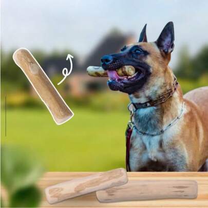 1根天然咖啡木狗狗磨牙棒，幼犬磨牙玩具，互动玩耍和牙齿护理咀嚼玩具，适合所有犬种，缓解压力和无聊