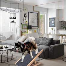 Rampa de madera plegable portátil para mascotas para todos los perros y gatos de 27.5 pulgadas de largo, ajustable de 12 a 16 pulgadas, rampas para perros de hasta 100 libras, para cama, sofá - Color de la madera - Ver 4