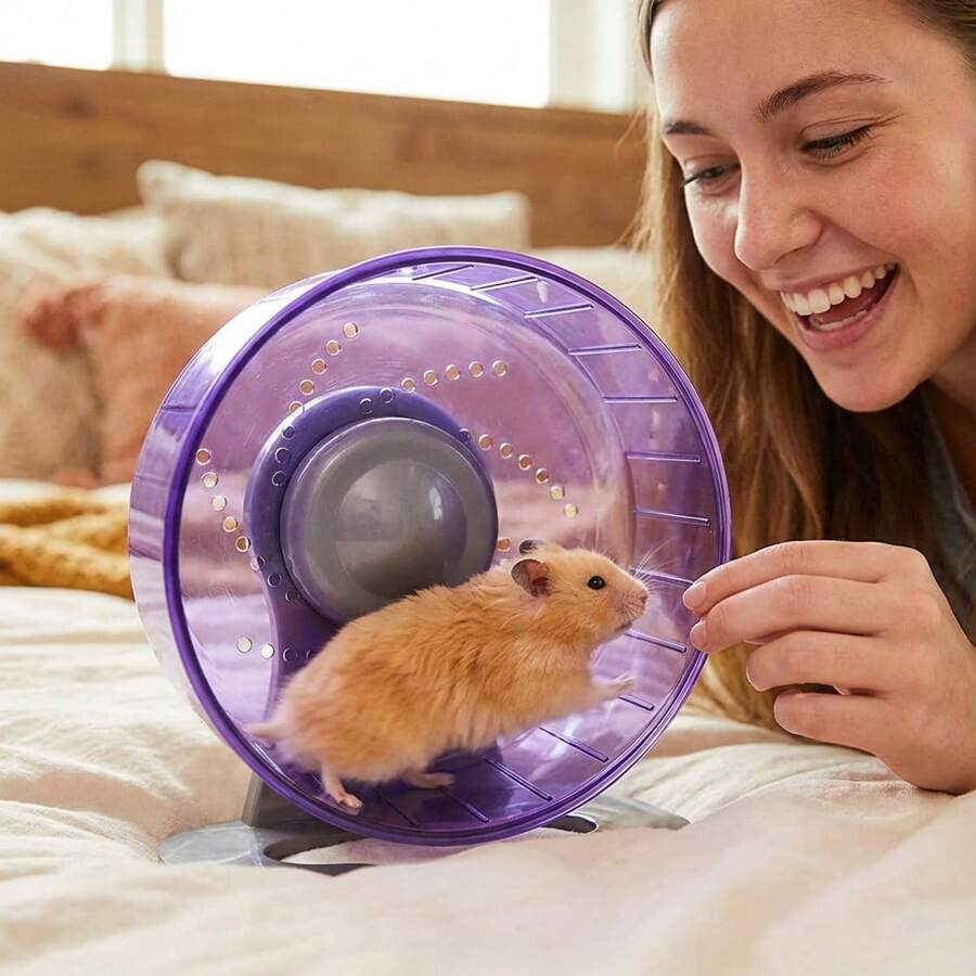 1 pieza Rueda de ejercicio para hámster ajustable de doble color, rueda giratoria silenciosa para correr, adecuada para hámsteres, gerbos, ratones u otras mascotas pequeñas - Multicolor - Ver 1