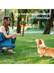 Scent Ball Dog Sniffing Toys, Scent Puzzle Toys, Machine Washable, Suitable For Puppies To Find Food, Relieve Boredom