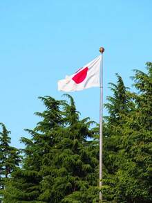 1面日本国旗，节日庆典彩旗，比赛用品，节日装饰，户外花园旗帜 - 紅白色 - 查看 2