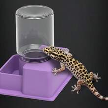 Multifunctional Transparent Reptiles Water Bowl Automatic Refill Function Reptiles Multi Level Design - Multicolor - View 7
