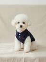 Pet Clothing