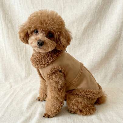 PETSIN Áo khoác nỉ màu trơn cổ điển cho chó, áo khoác ấm áp cho thú cưng vào mùa thu/đông, phù hợp với thú cưng nhỏ và vừa.