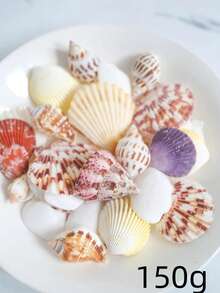150g Natural Mixed Seashell Filler, White Tropical Seashells, DIY Craft Seashells, Beach Wedding Decor, Coastal Boho Decor, Seashell Decor